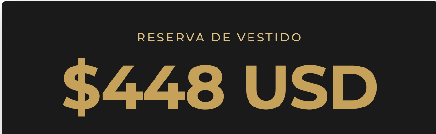 Pago vestido personalizado 448 USD